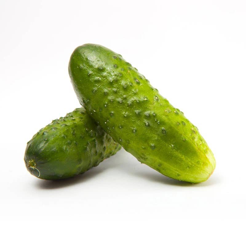 Bentley Seed Co. - Cucumber Boston Pickling