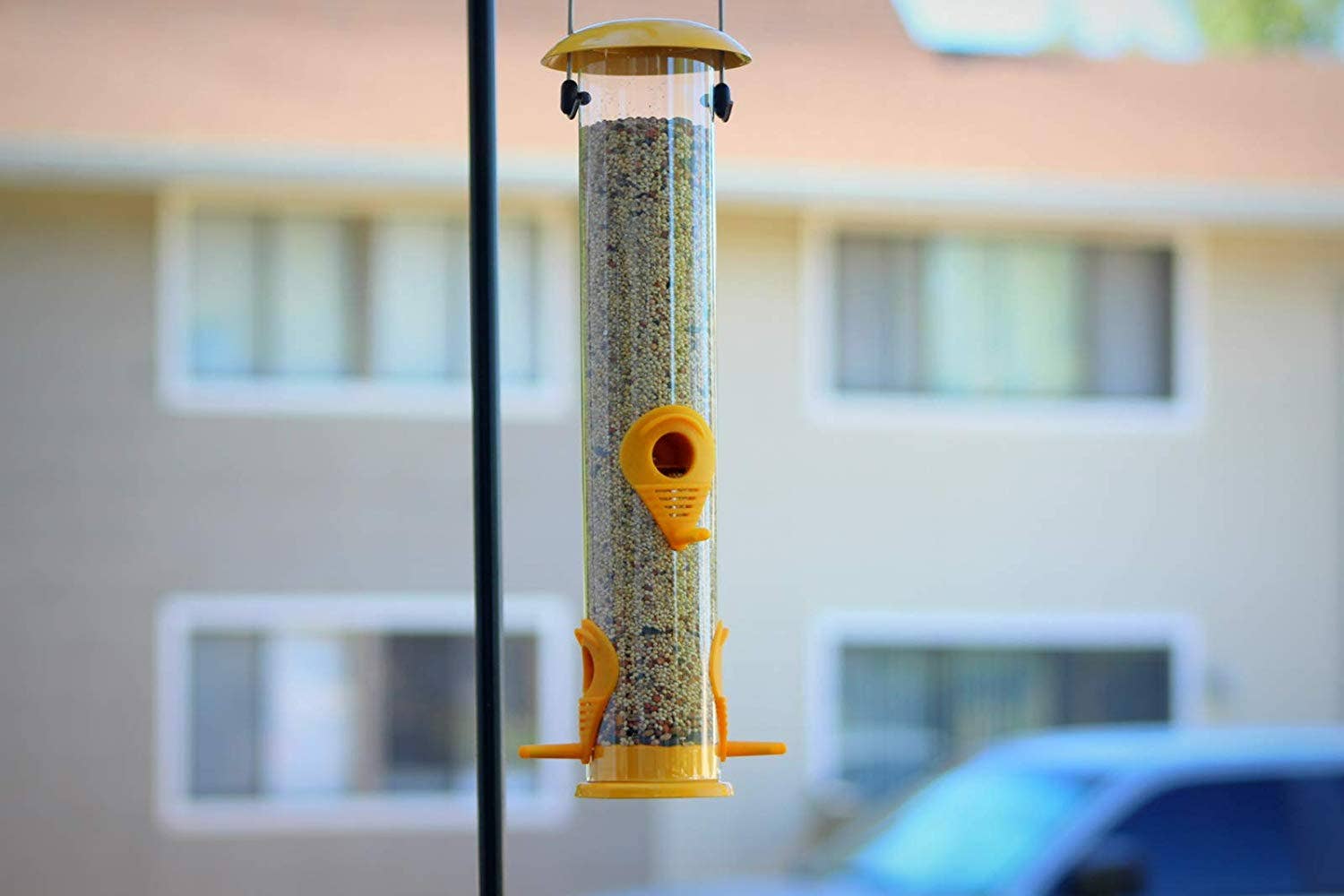 Ashman Bird Feeder, Metal Top and Bottom, Spacious Design, Attractive & Long Lasting