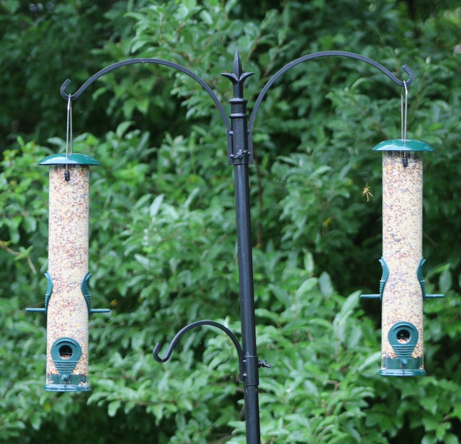Ashman Bird Feeder, Metal Top and Bottom, Spacious Design, Attractive & Long Lasting