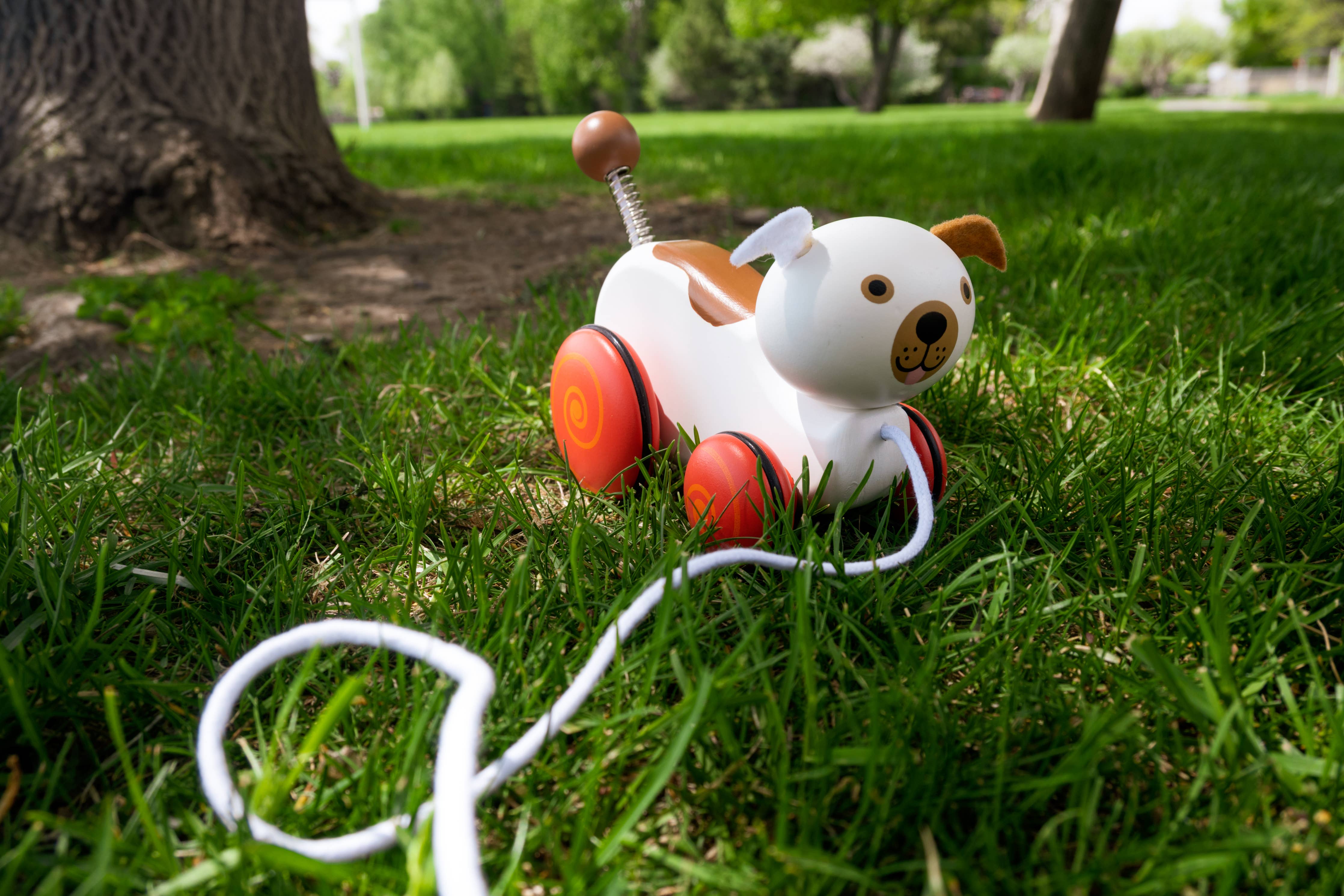 Wiggles the Dog Pull Toy in packaging for children