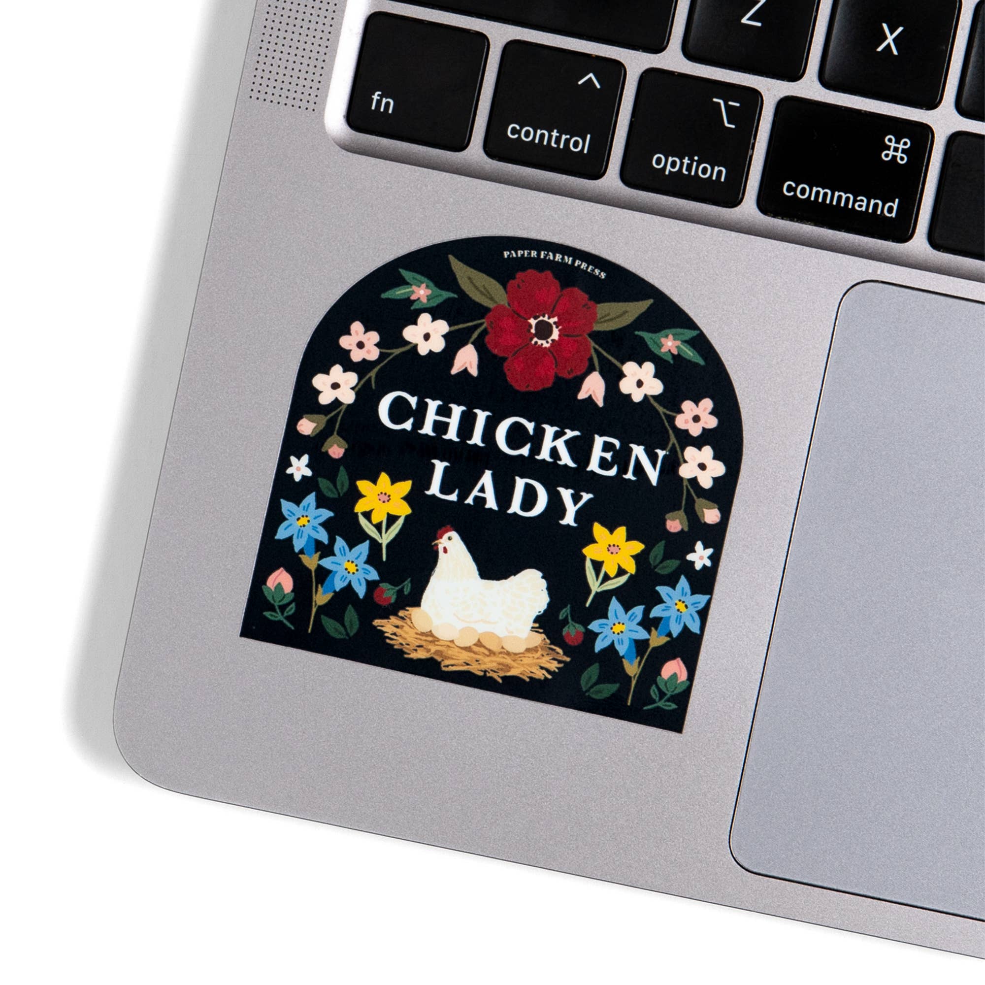 Chicken Lady decal sticker applied to window