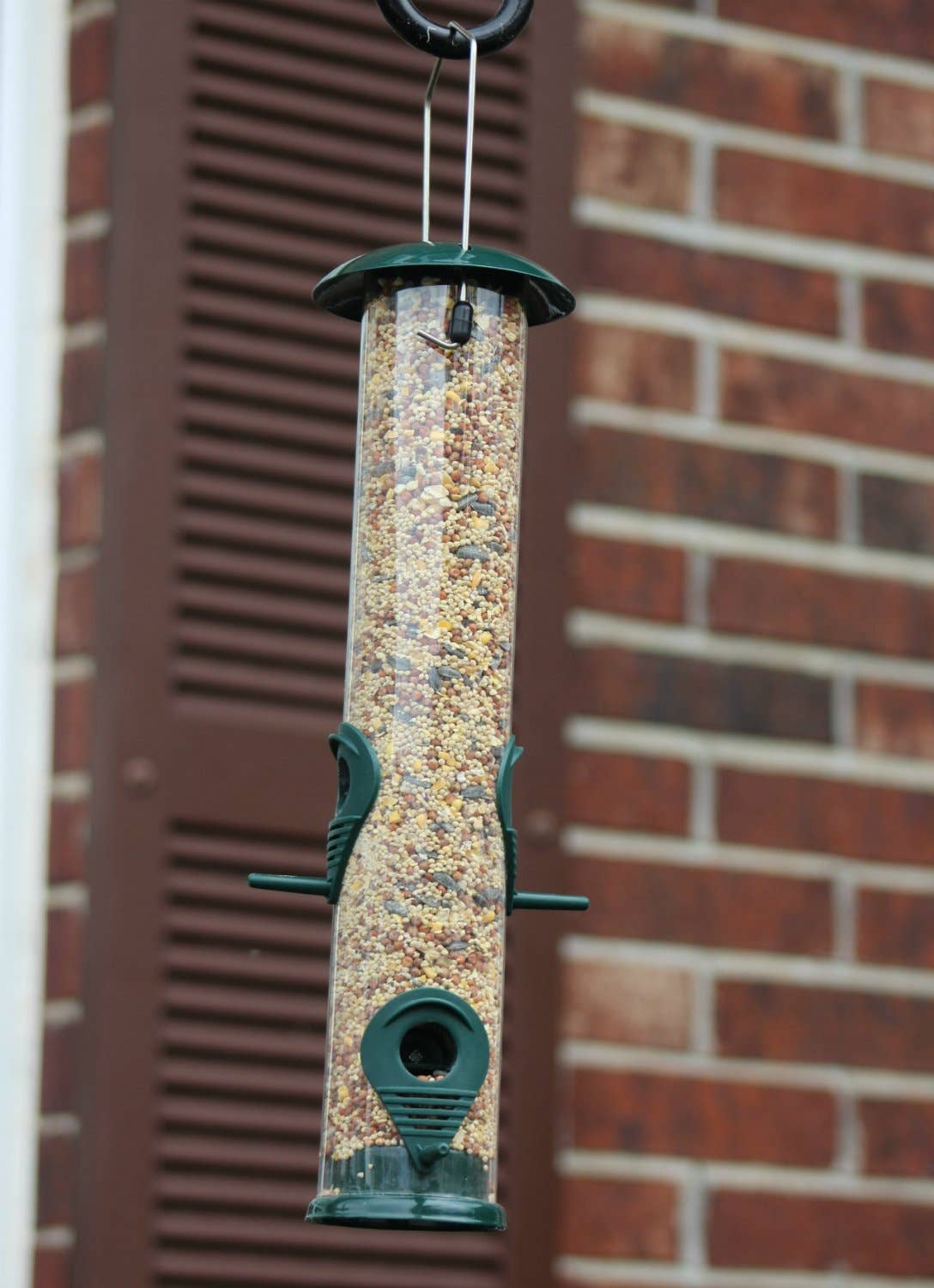 Ashman Bird Feeder, Metal Top and Bottom, Spacious Design, Attractive & Long Lasting