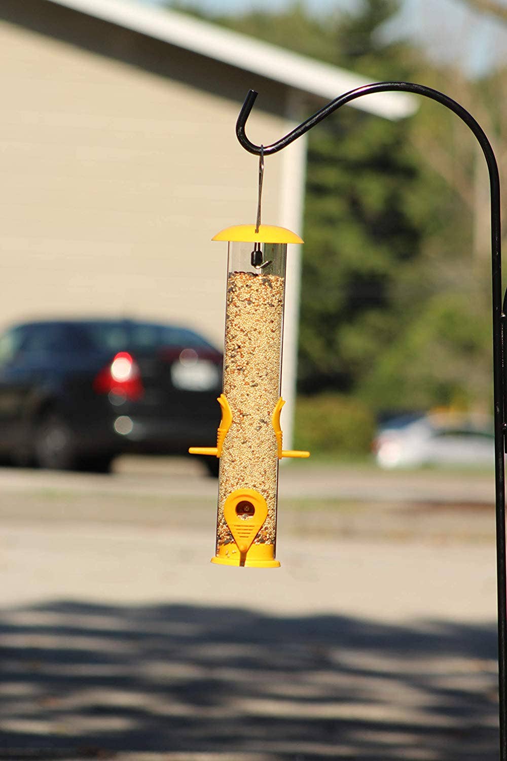 Ashman Bird Feeder, Metal Top and Bottom, Spacious Design, Attractive & Long Lasting