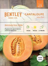 Bentley Seed Co. - Vegetable Seed Packets