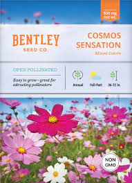 Bentley Seed Co. - Flower Seed Packets