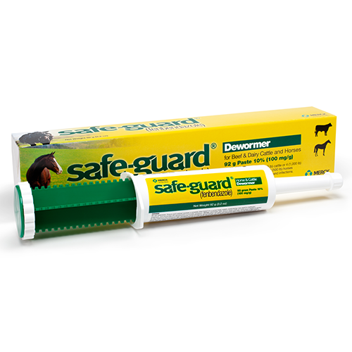 Safe-Guard Paste 10% - 92 g