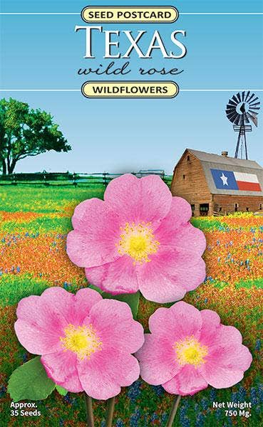 Texas Wild Rose wildflower seed packet