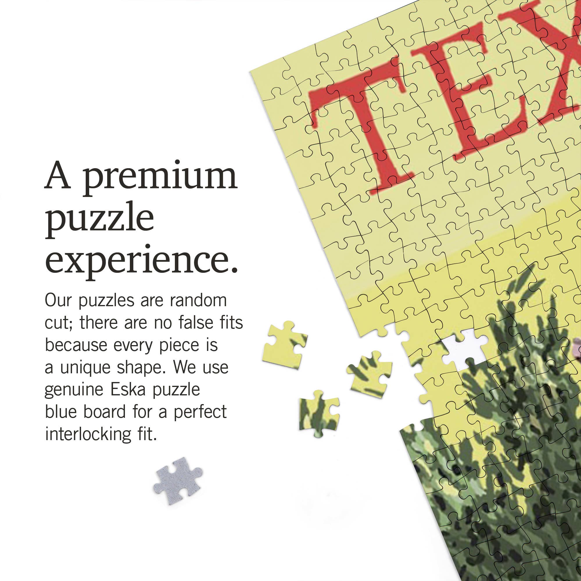 1000 PIECE PUZZLE Texas, Armadillo