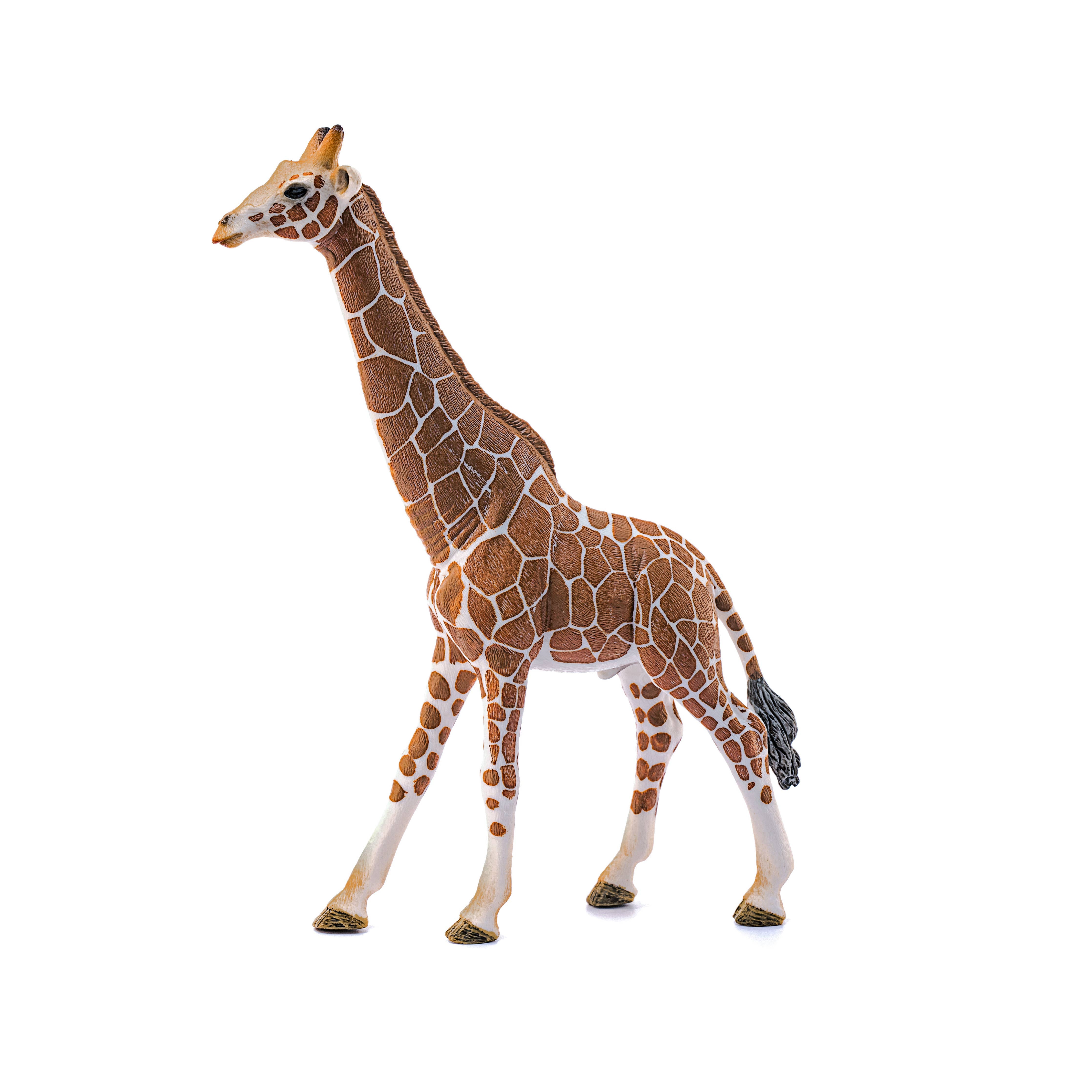 Giraffe, Male Safari Animal Toy