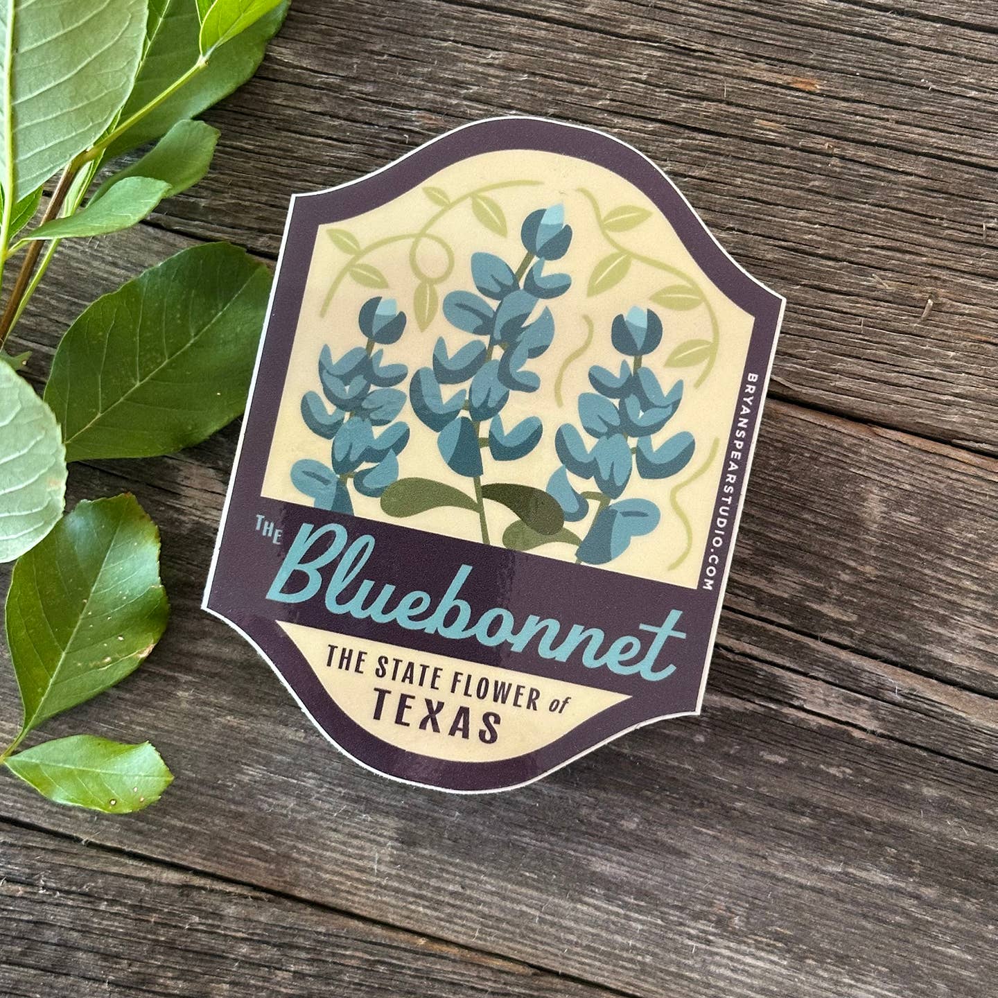 Texas Symbols Bluebonnets Sticker close-up detail