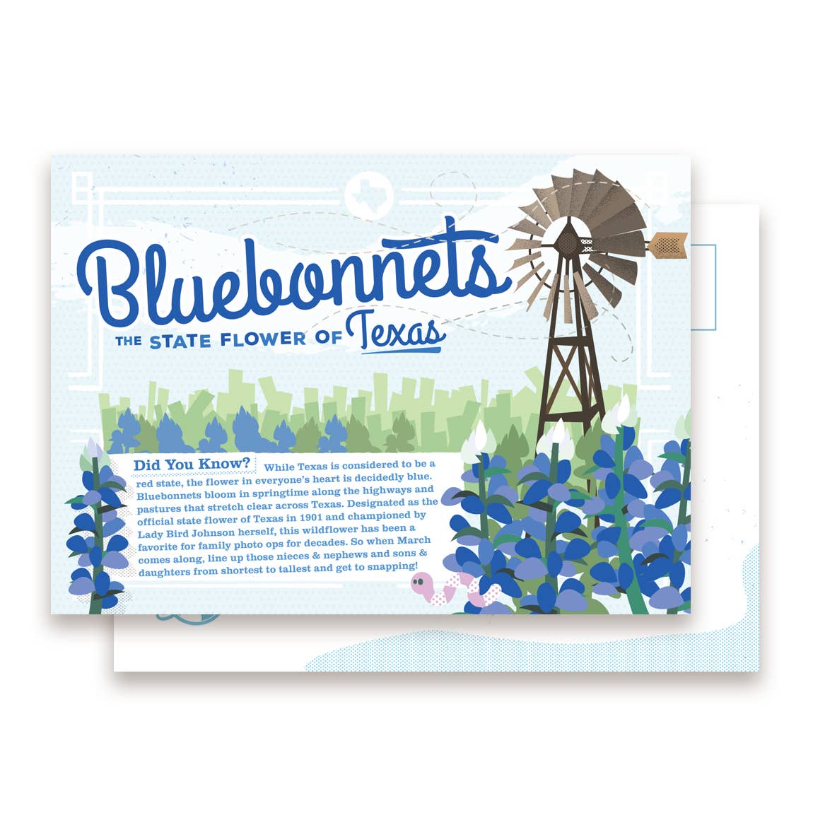 Bluebonnets postcard featuring Texas wildflower illustration