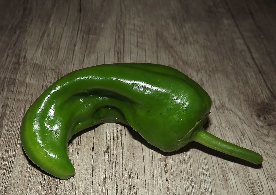 Brim Seed Co. - Hot Anaheim Chili Pepper Heirloom Seed