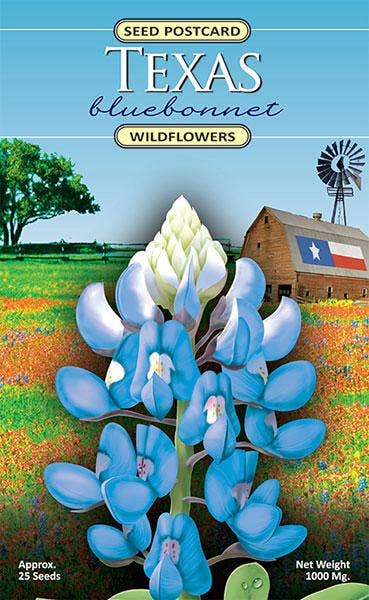 Texas Bluebonnet wildflower seed packet