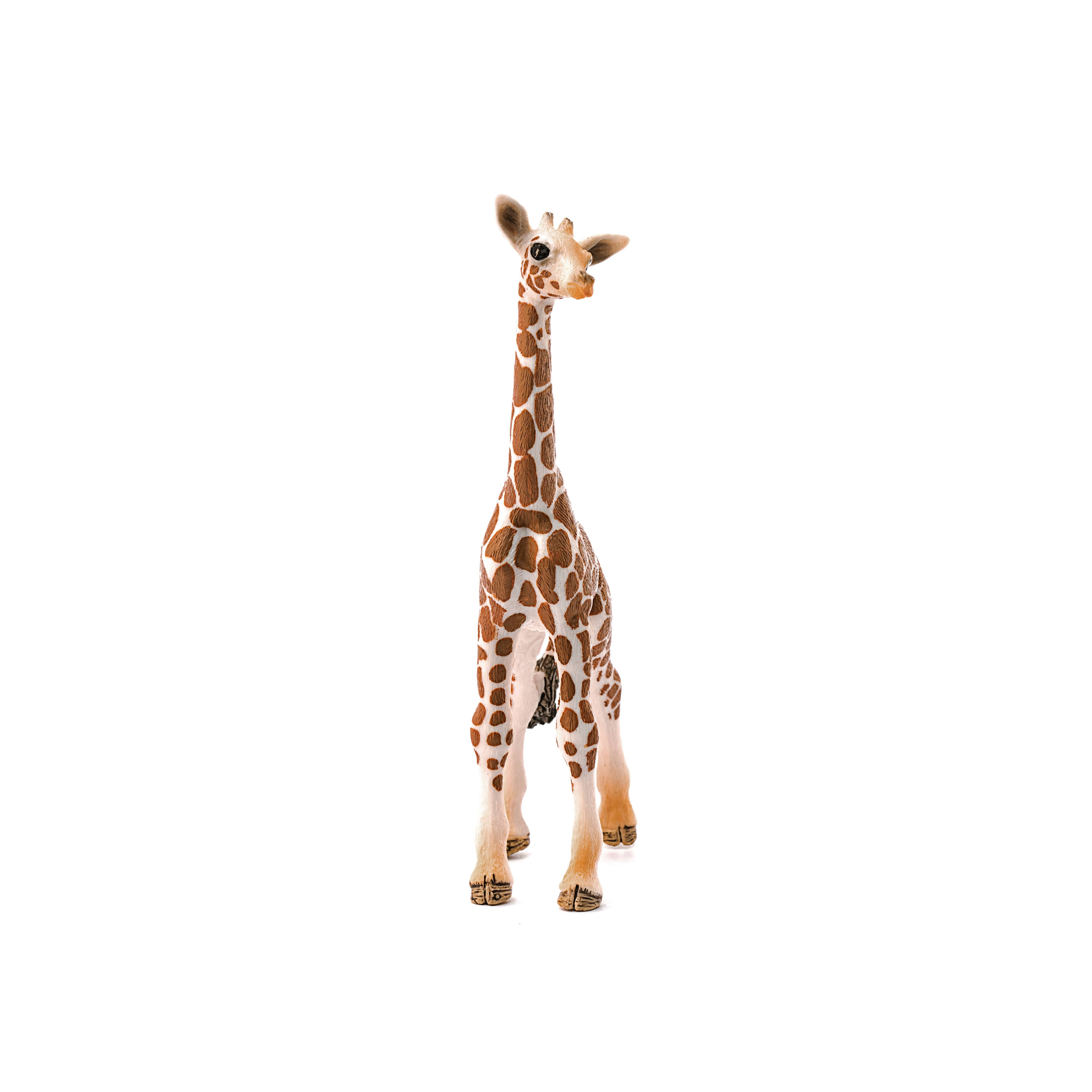 Giraffe Calf Safari Animal Toy