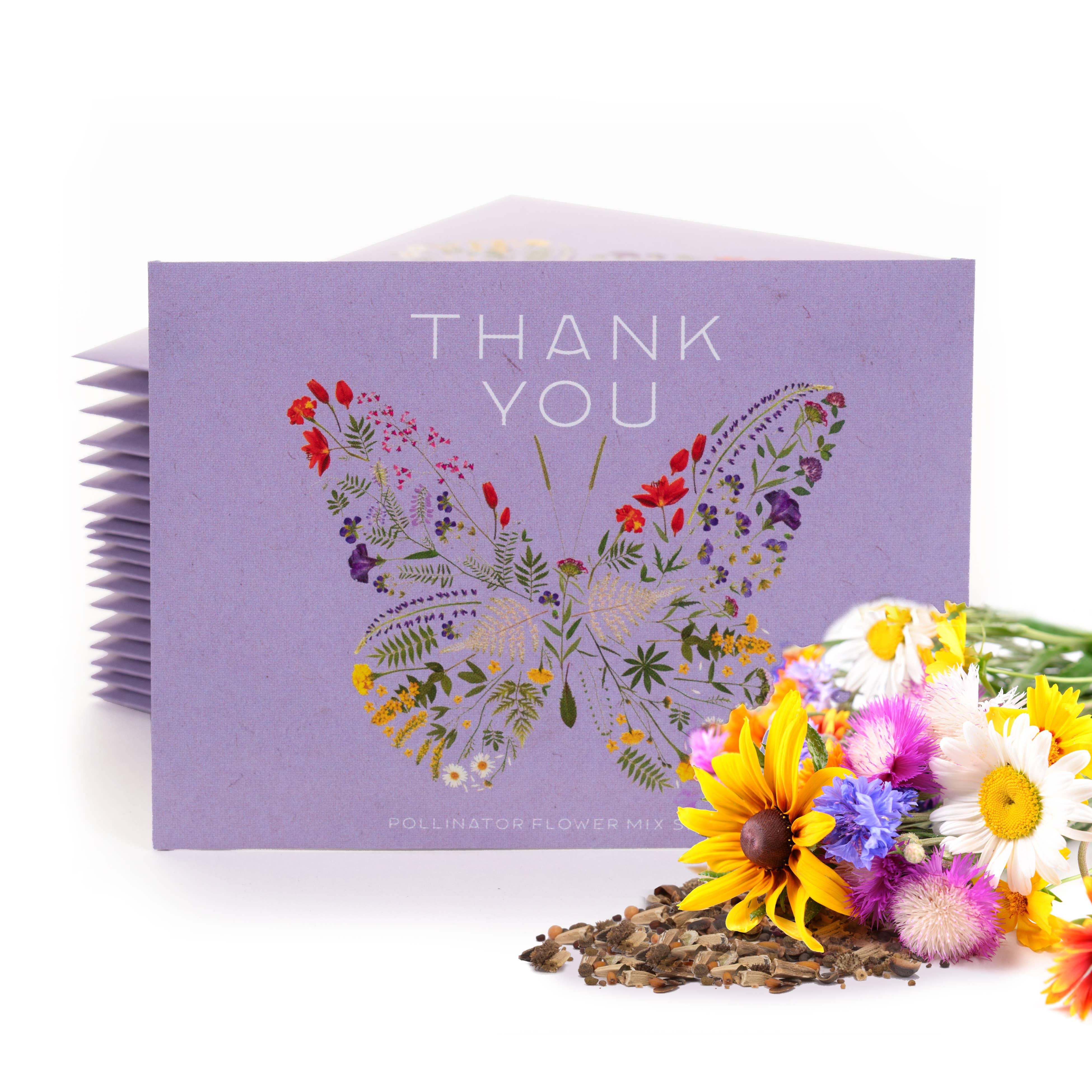 Bentley Seed Co. - Thank You Butterfly Pollinator Flower Mix Seed