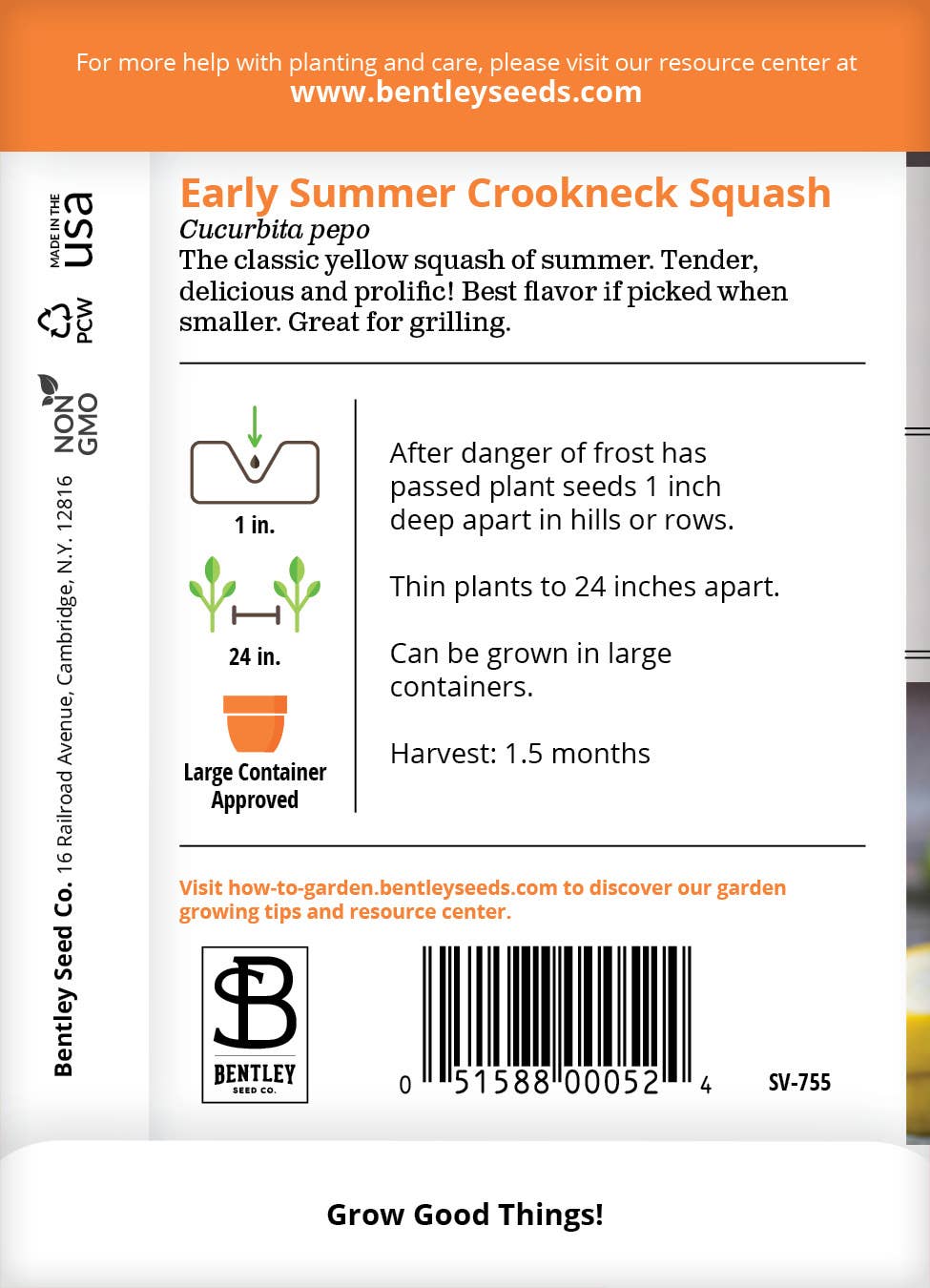 Yellow Crookneck Squash seeds planting instructions