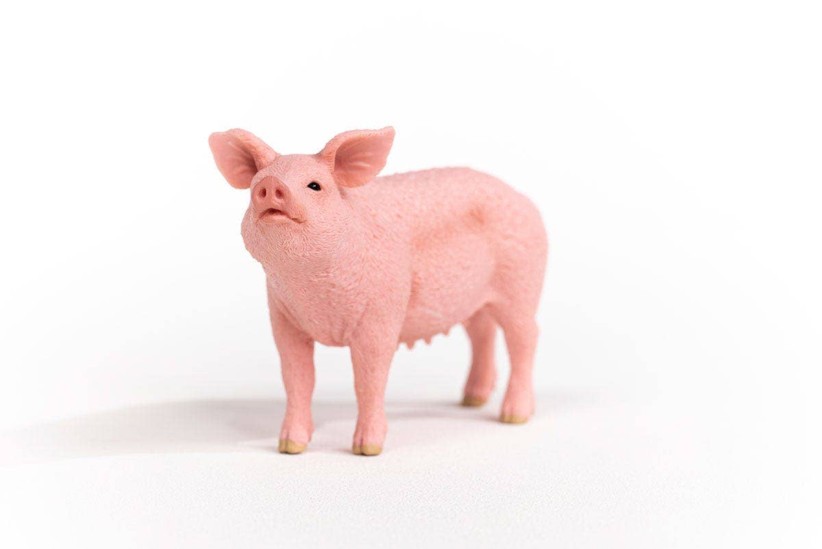 Pig Farm Animal Toy