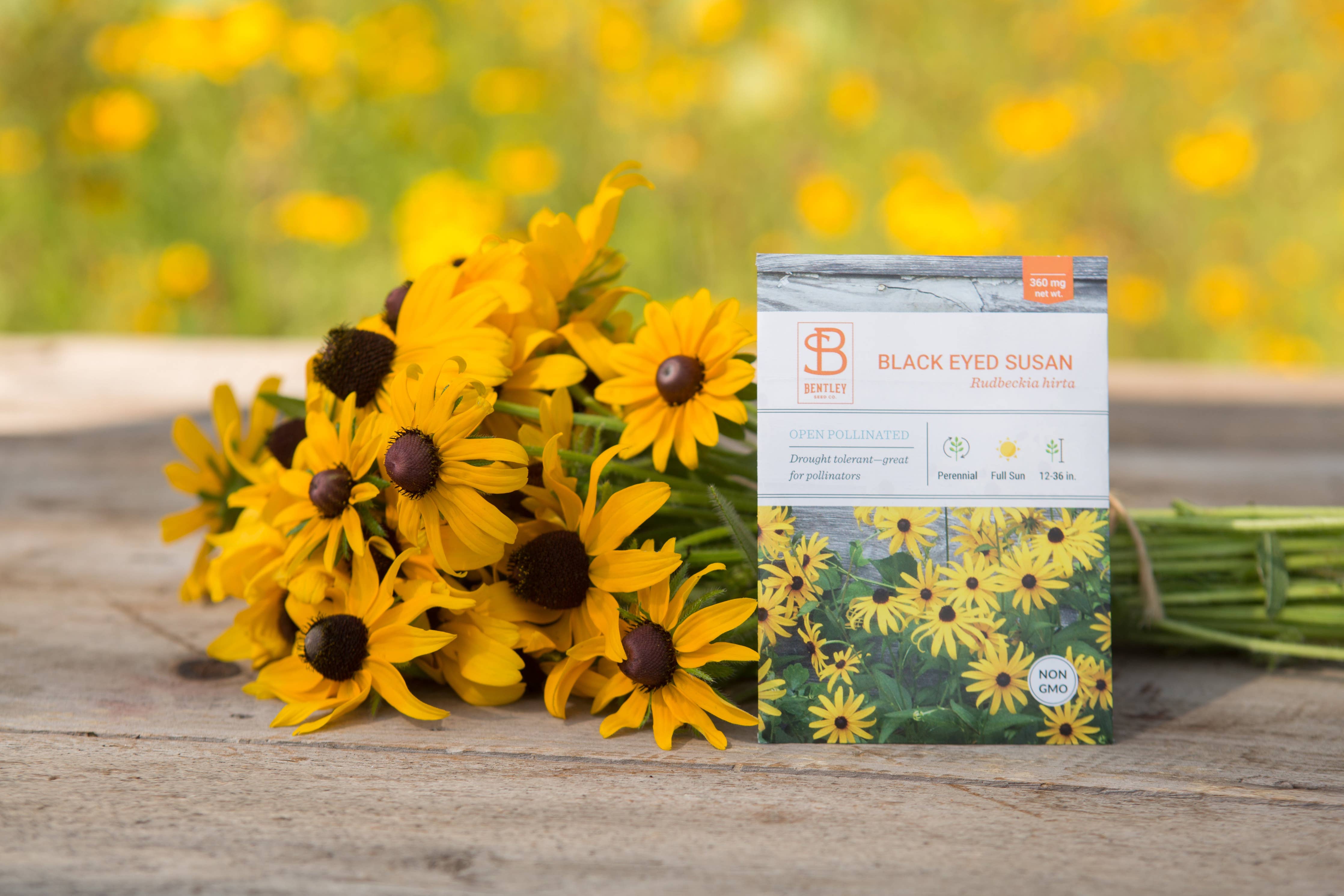 Black-Eyed Susan seed packets with yellow wildflower blooms