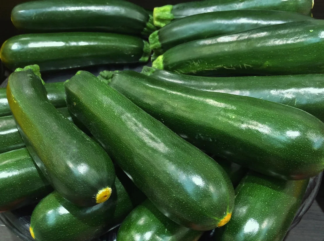 Brim Seed Co. - Black Beauty Zucchini Squash Heirloom Seed