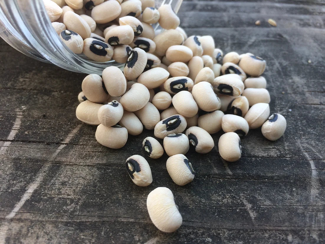 Brim Seed Co. - Black Eyed Southern Pea Heirloom Seed