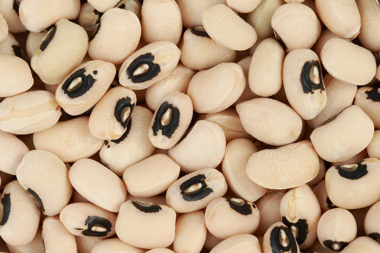 Brim Seed Co. - Black Eyed Southern Pea Heirloom Seed