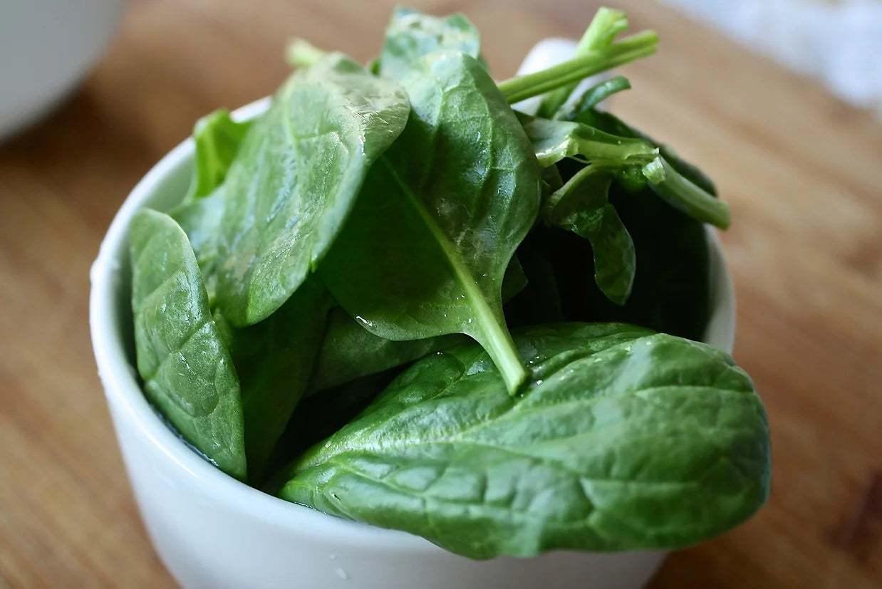 Brim Seed Co. - Bloomsdale Long Standing Spinach Greens Heirloom Seed