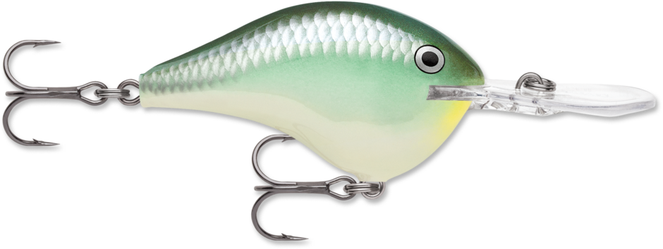 Rapala - 6' Dives-To Series