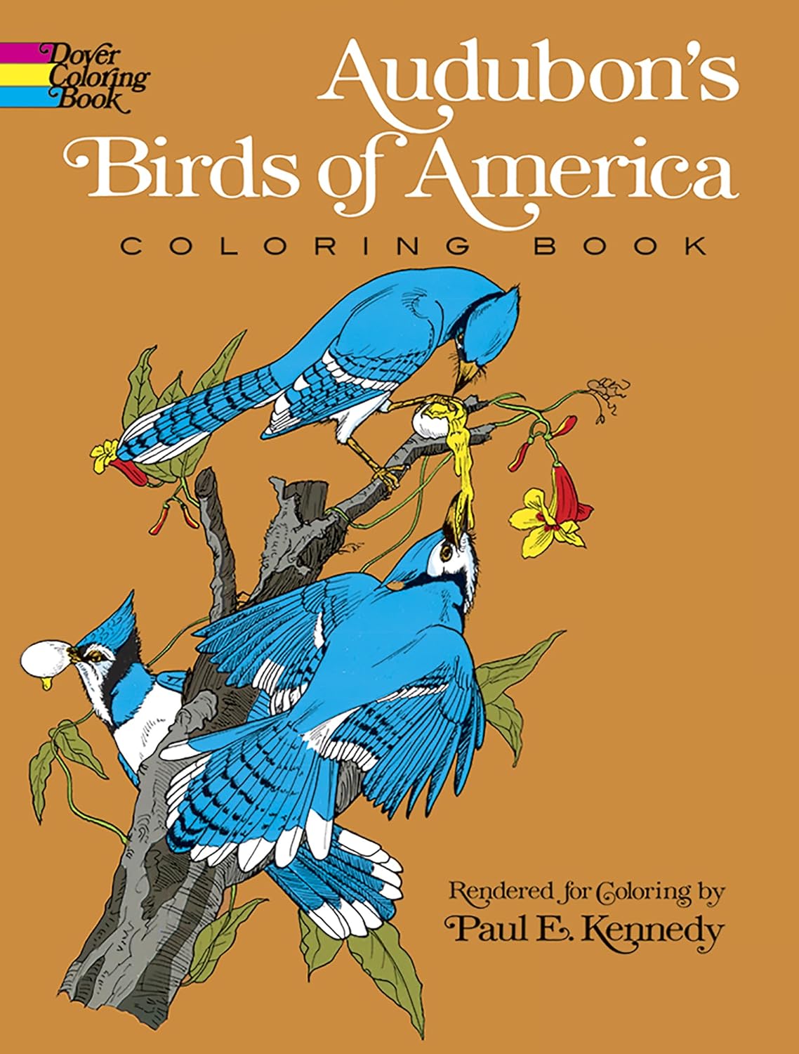 Dover Coloring Book: Audubon's Birds of America Coloring Book - by John James Audubon