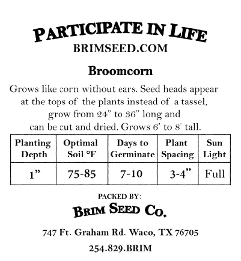 Brim Seed Co. - Broomcorn Heirloom Seed