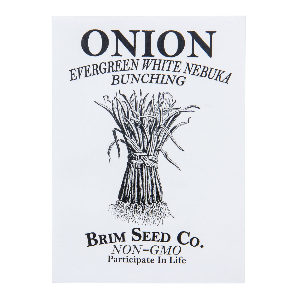 Brim Seed Co. - Evergreen White Nebuka Bunching Onion Seed