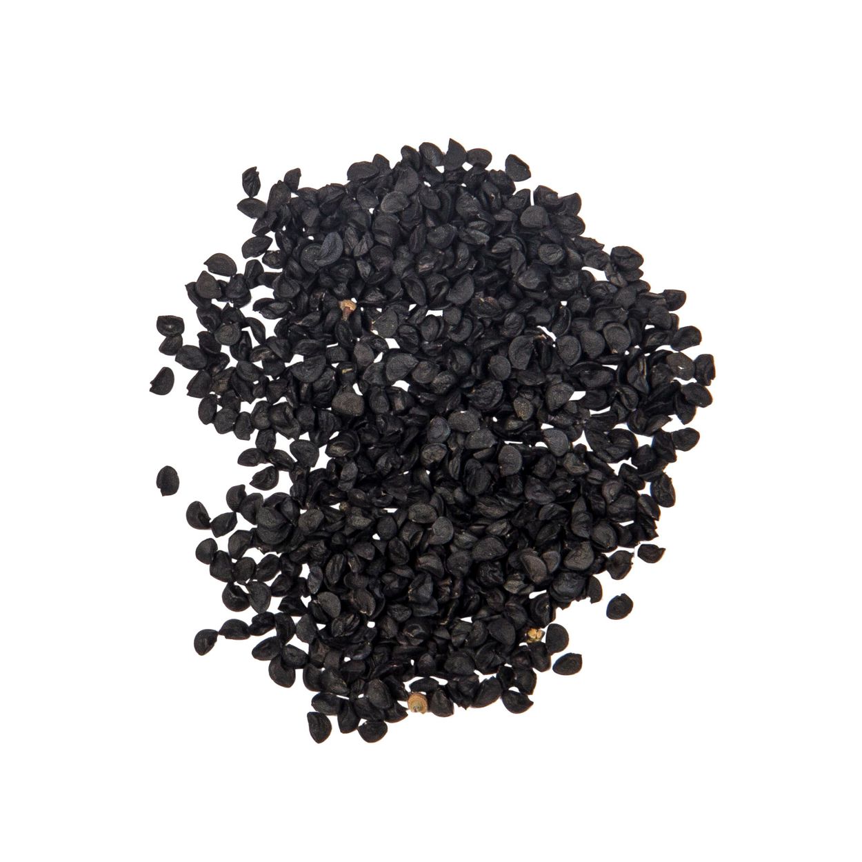 Brim Seed Co. - Evergreen White Nebuka Bunching Onion Seed