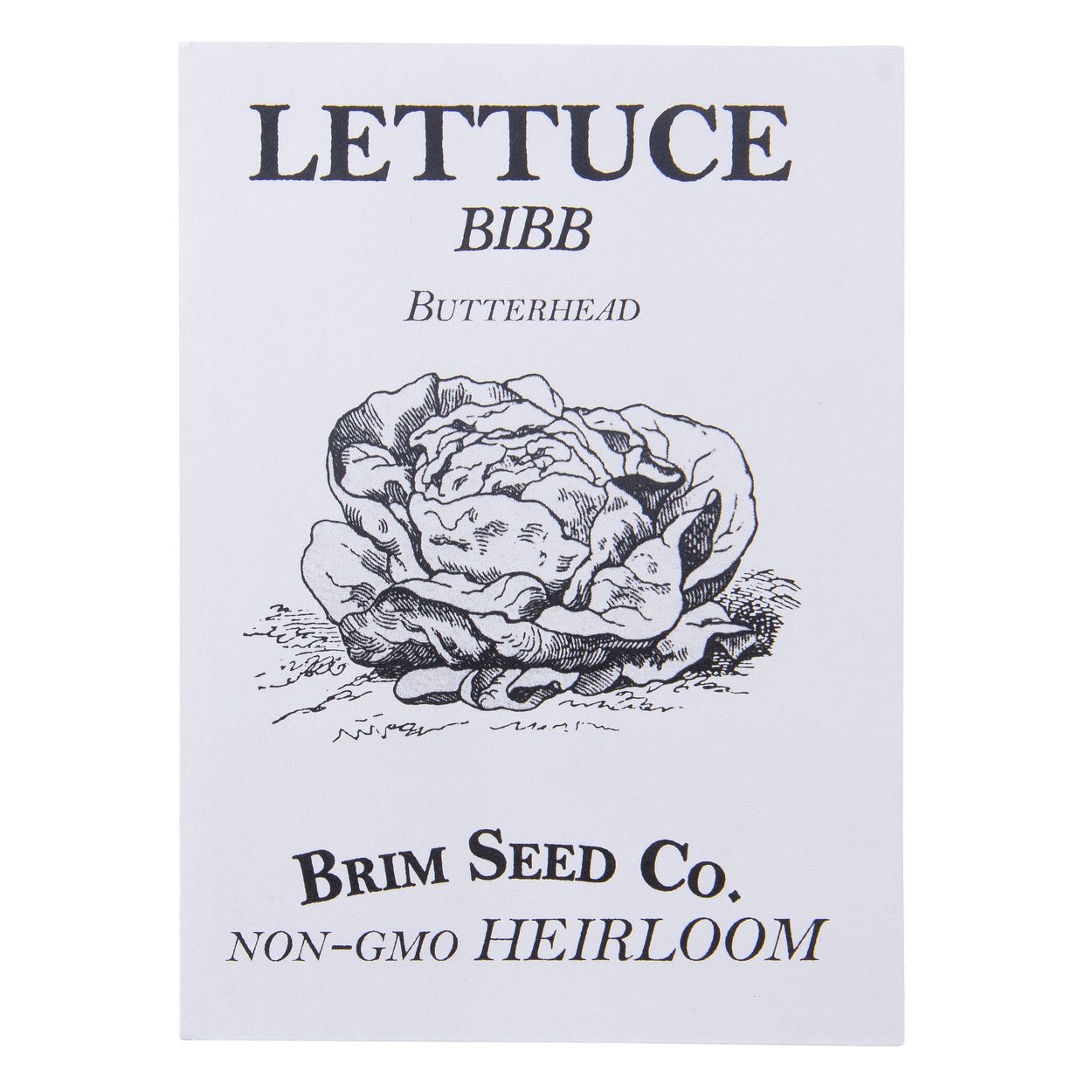 Brim Seed Co. - Bibb Butterhead Lettuce Greens Heirloom Seed