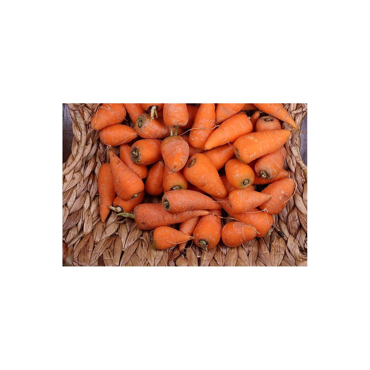 Brim Seed Co. - Chantenay Carrot Heirloom Seed