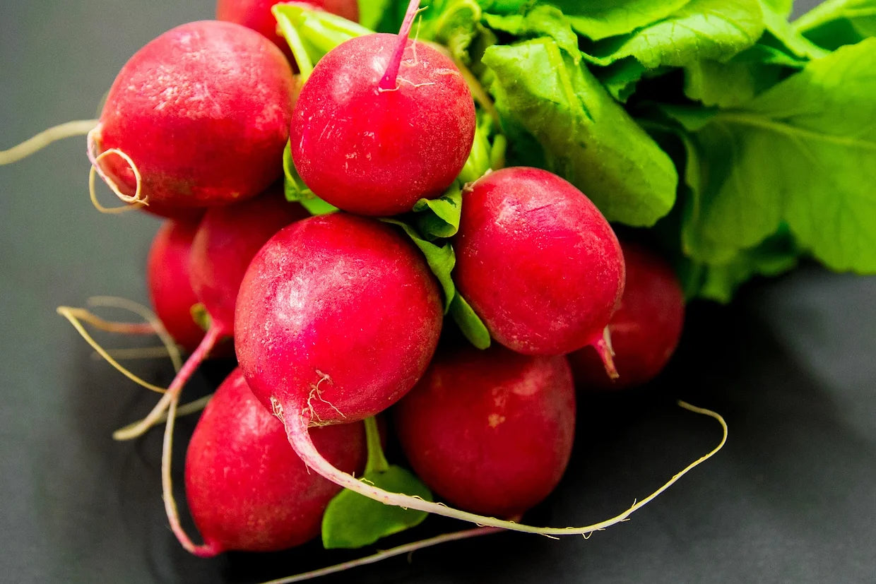 Brim Seed Co. - Cherry Belle Radish Heirloom Seed