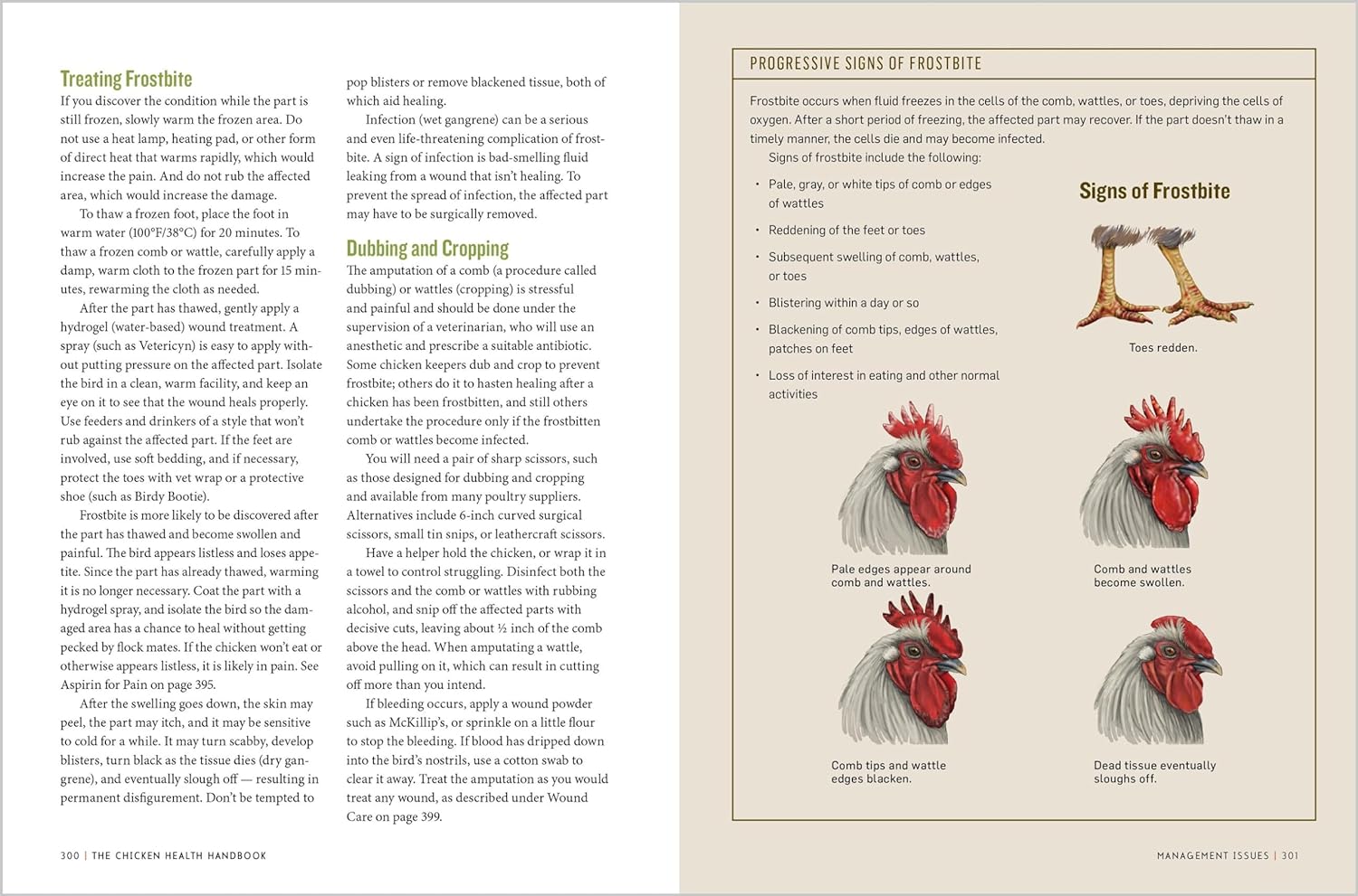 The Chicken Health Handbook, 2nd Edition: A Complete Guide to Maximizing Flock Health and Dealing with Disease - by Gail Damerow