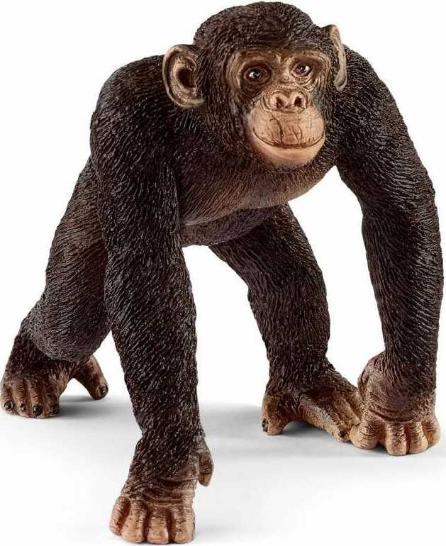 Schleich - Chimpanzee