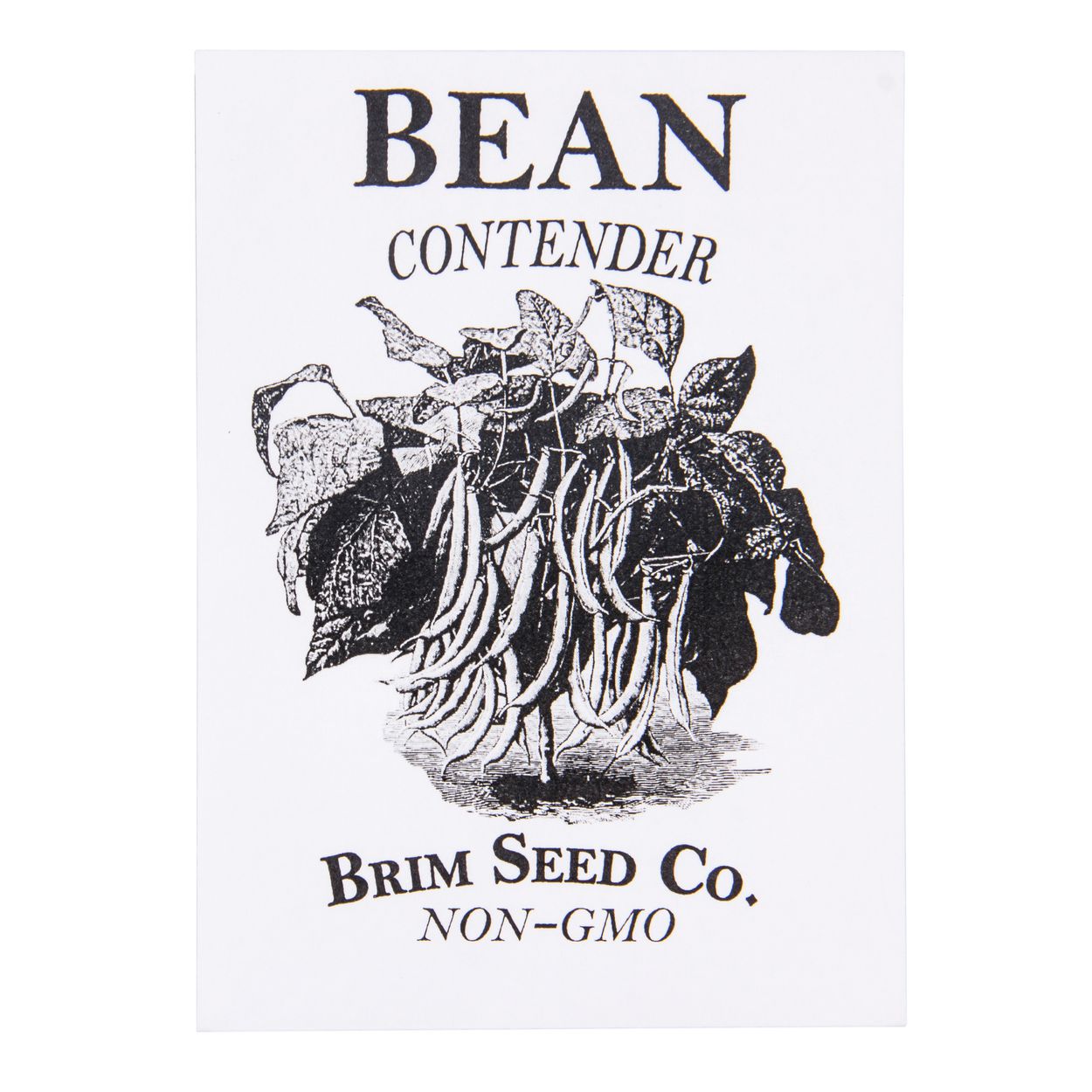 Brim Seed Co. - Contender Bush Bean Seed