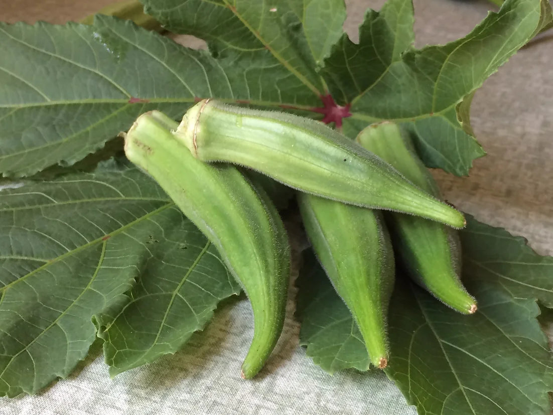 Brim Seed Co. - Southern Acclimated Cow Horn Okra Heirloom Seed