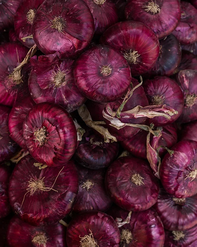 Brim Seed Co. - Red Creole Onion Heirloom Seed