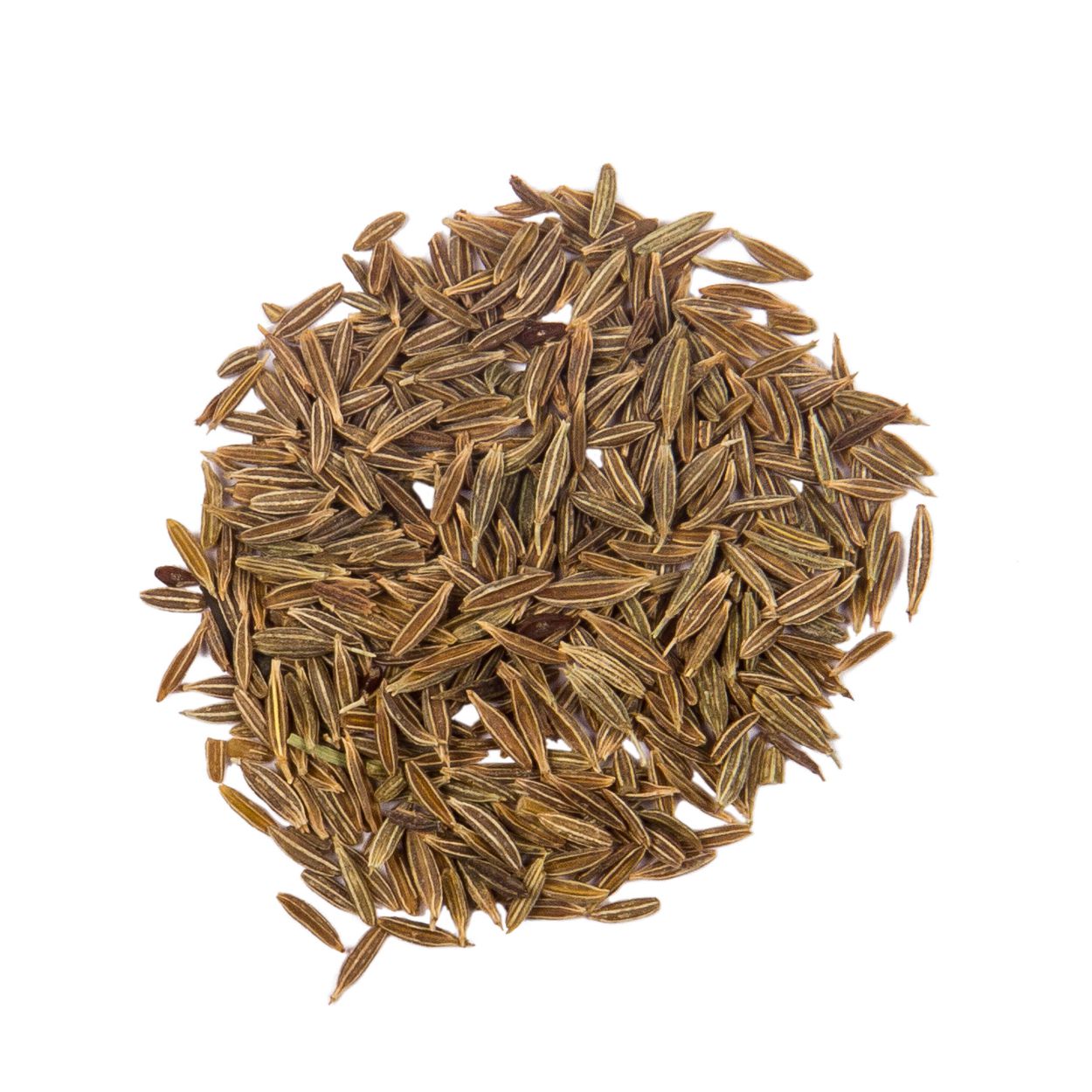 Brim Seed Co. - Cumin Herb Heirloom Seed