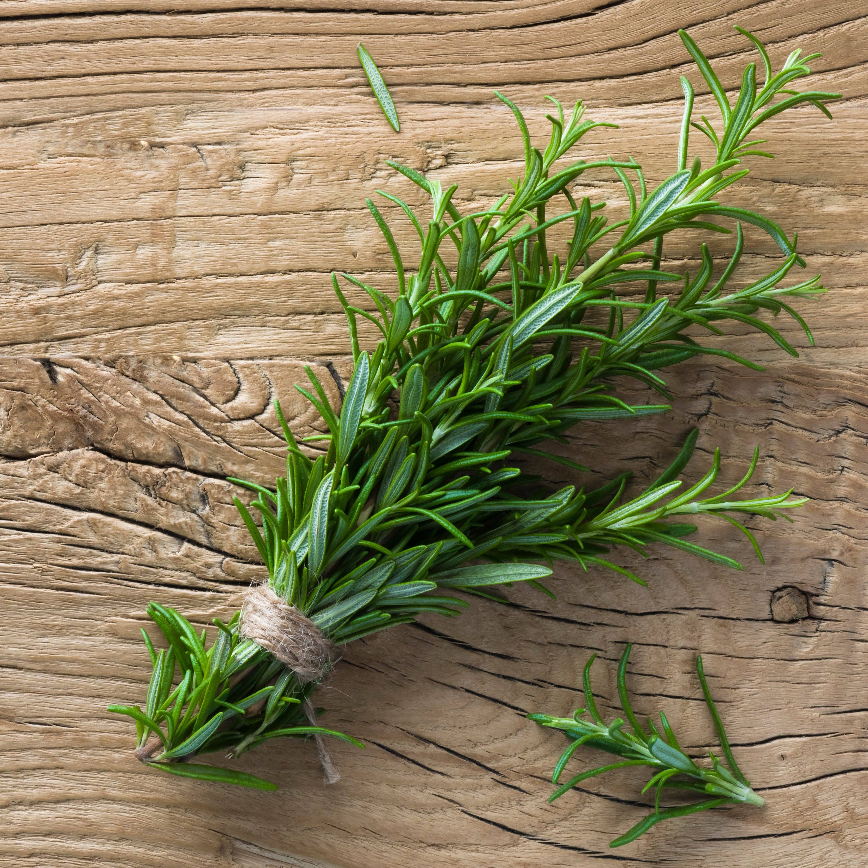 Rosemary seeds close-up view