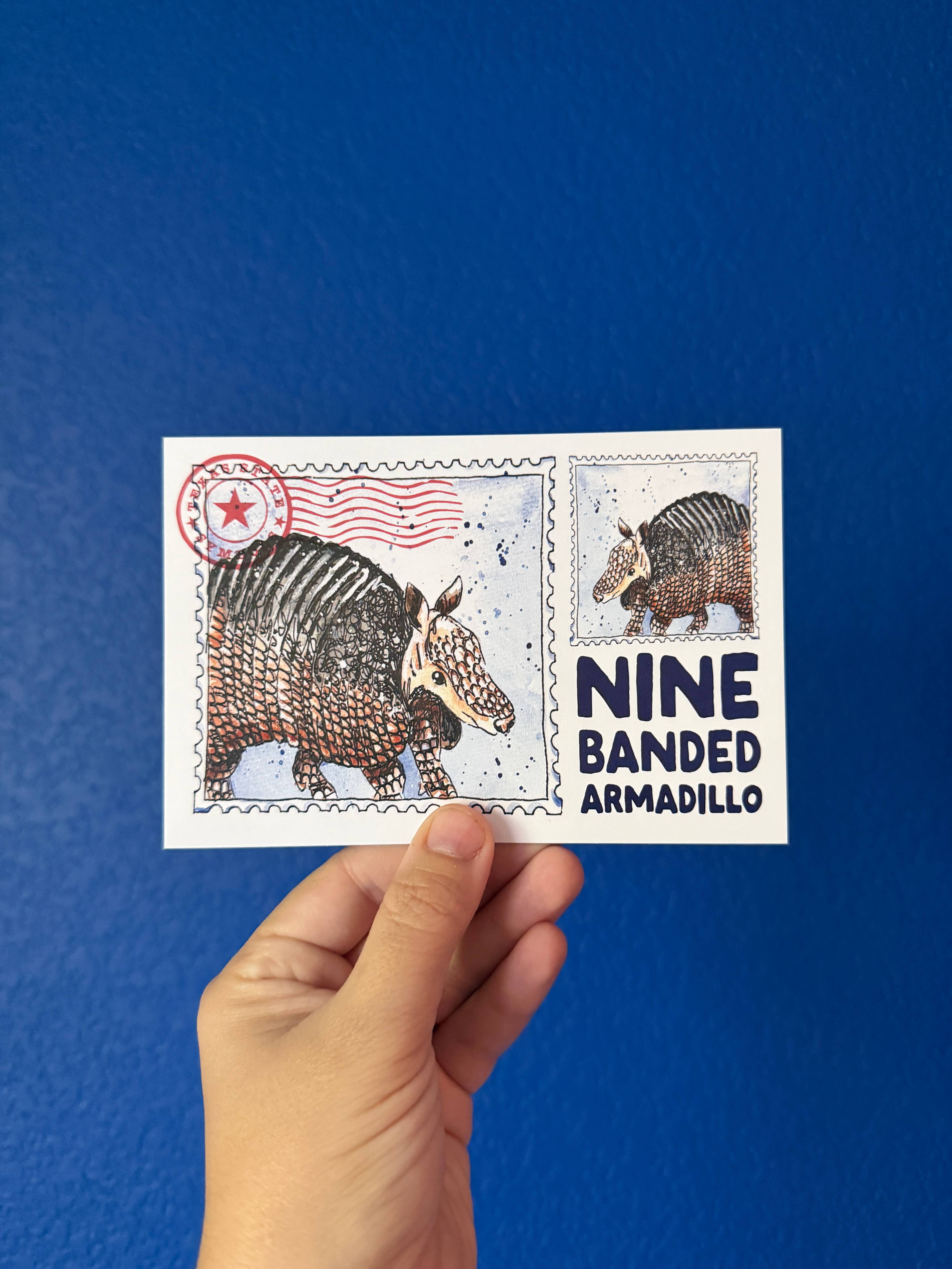 Nine-Banded Armadillo 4x6 postcard