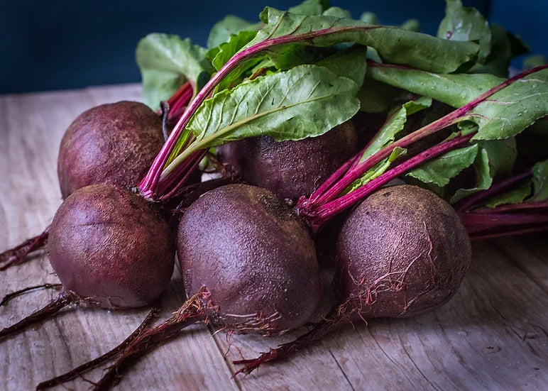 Brim Seed Co. - Detroit Dark Red Beet Heirloom Seed