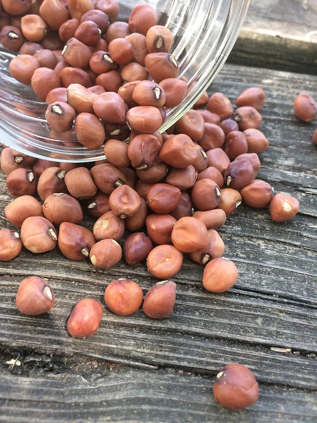 Brim Seed Co. - Dimpled Brown Crowder Southern Pea Heirloom Seed