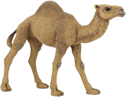 Schleich - Dromedary