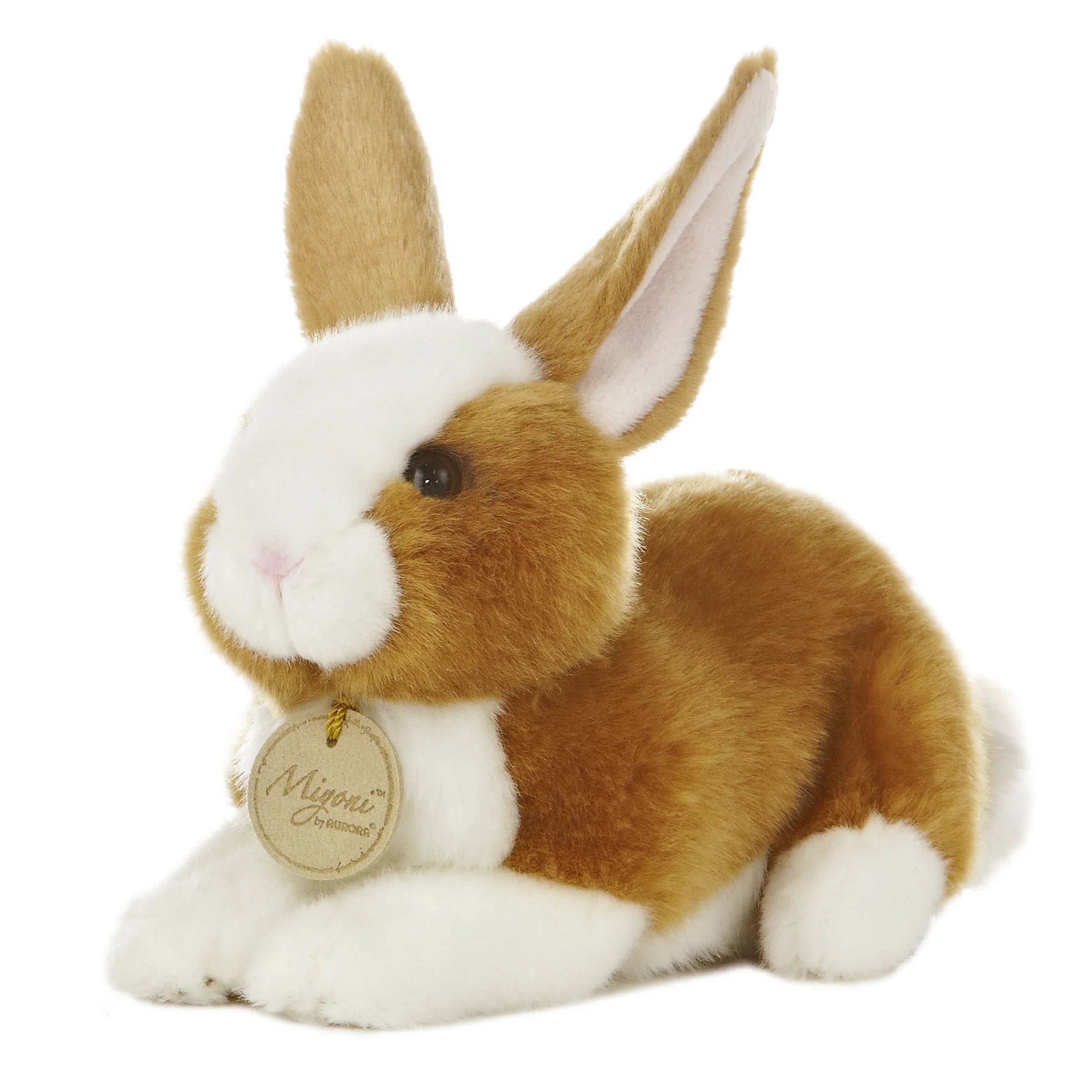 Aurora - Miyoni Dutch Rabbit