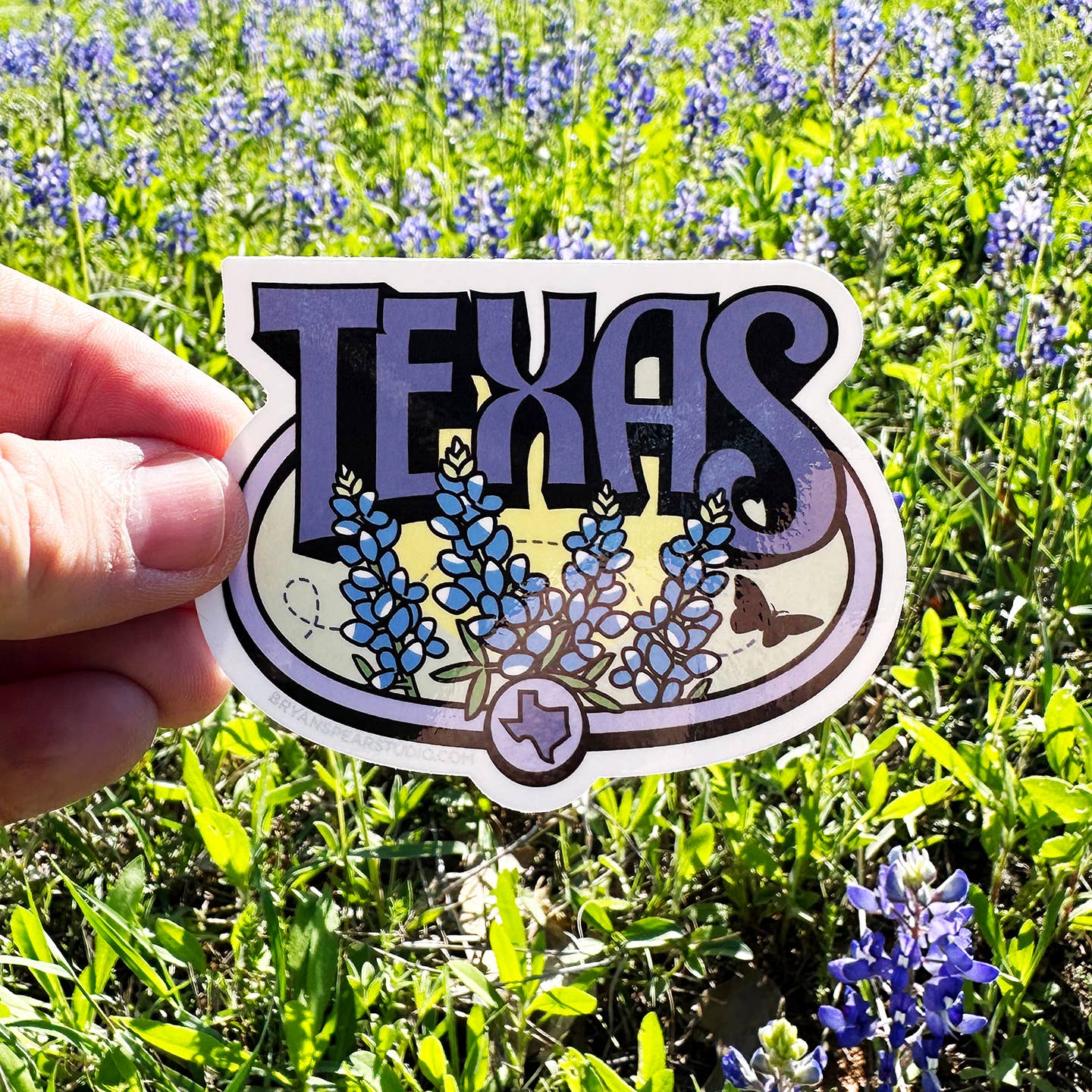 Texas Bluebonnets Sticker on display