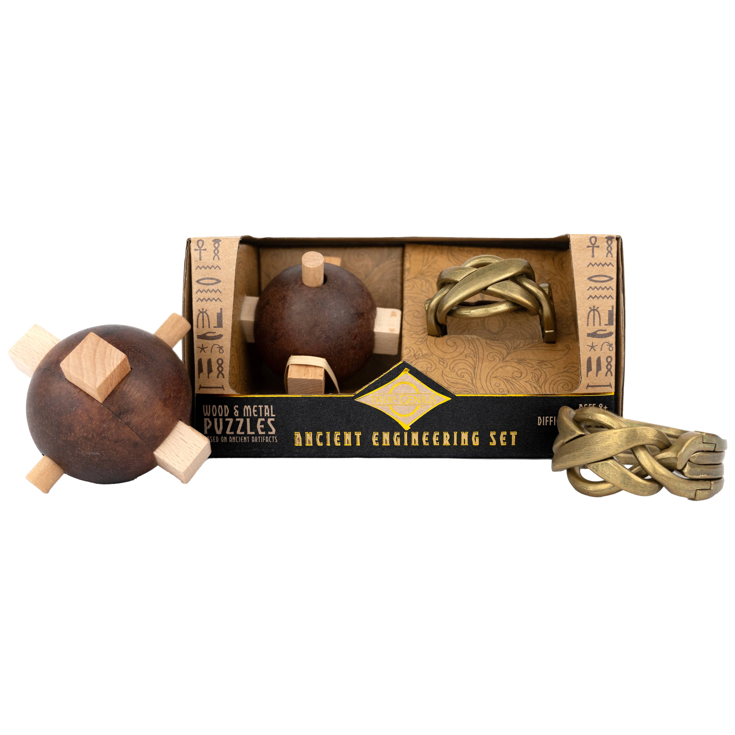 Ｙ.A:Raison D'Etre ５点セット Project Genius True Genius Puzzle Set, 5 Brainteasers, Wood and
