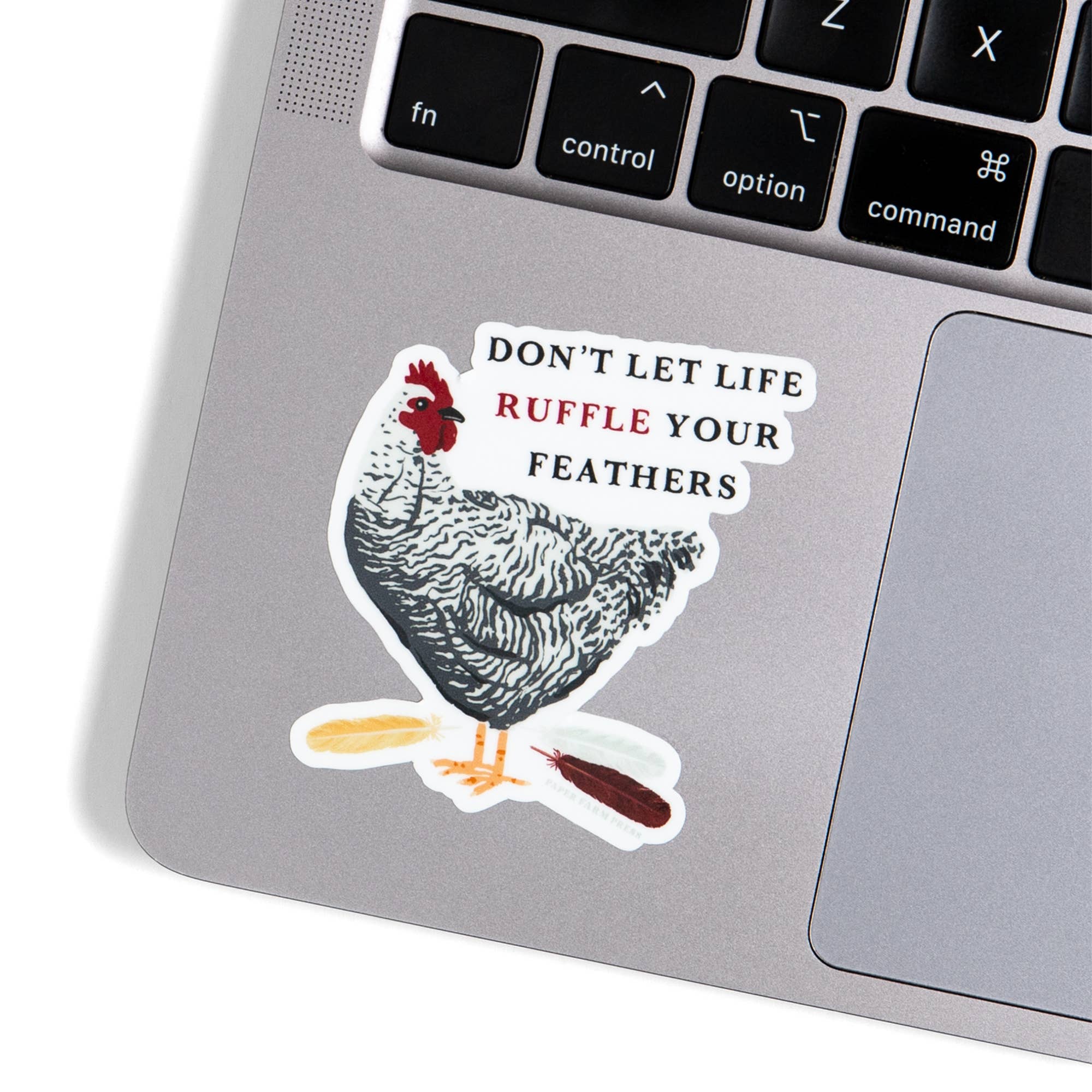 Don't Let Life Ruffle Your Feathers decal on surface