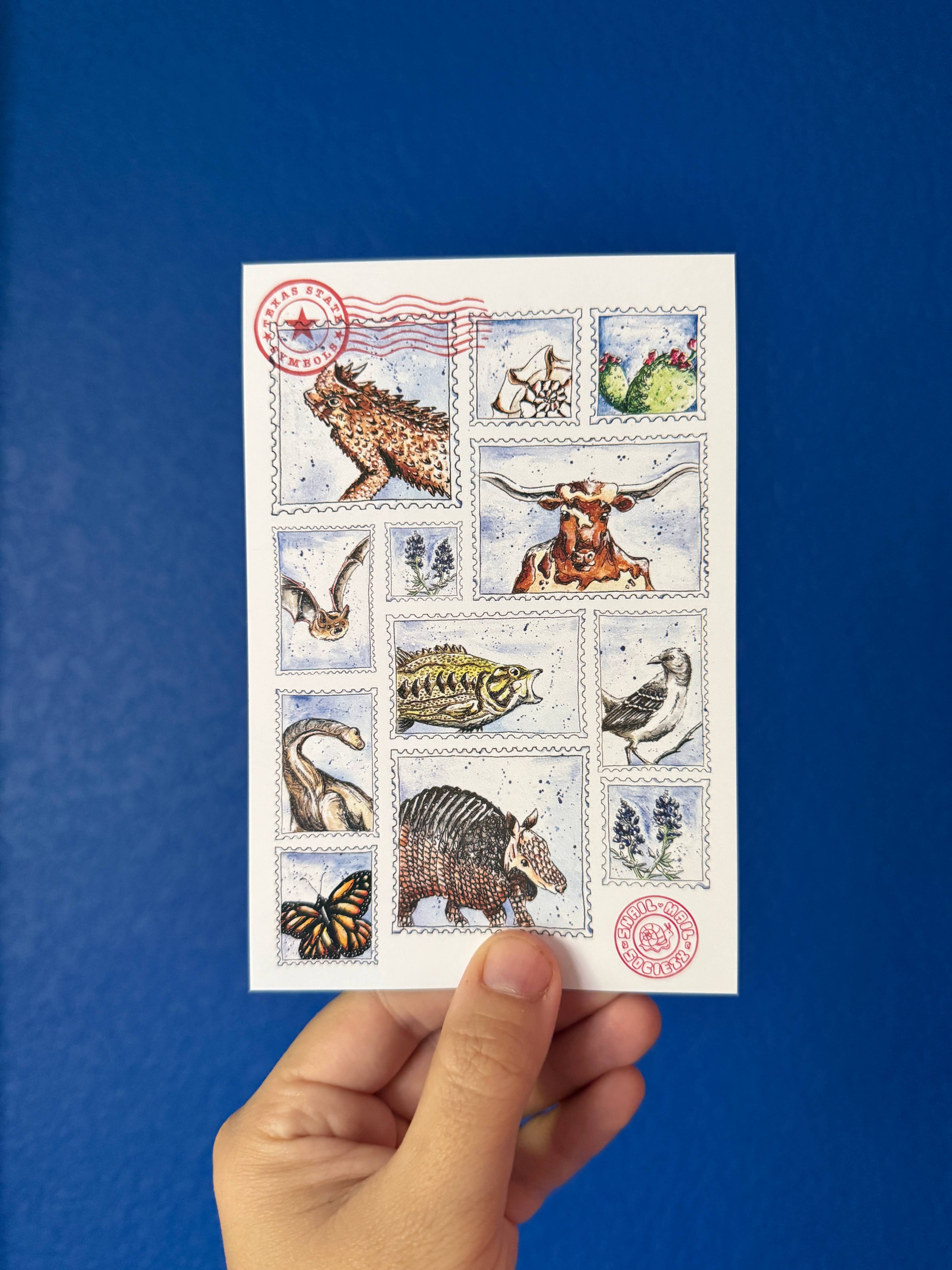 Texas State Symbols Compilation 4x6 postcard